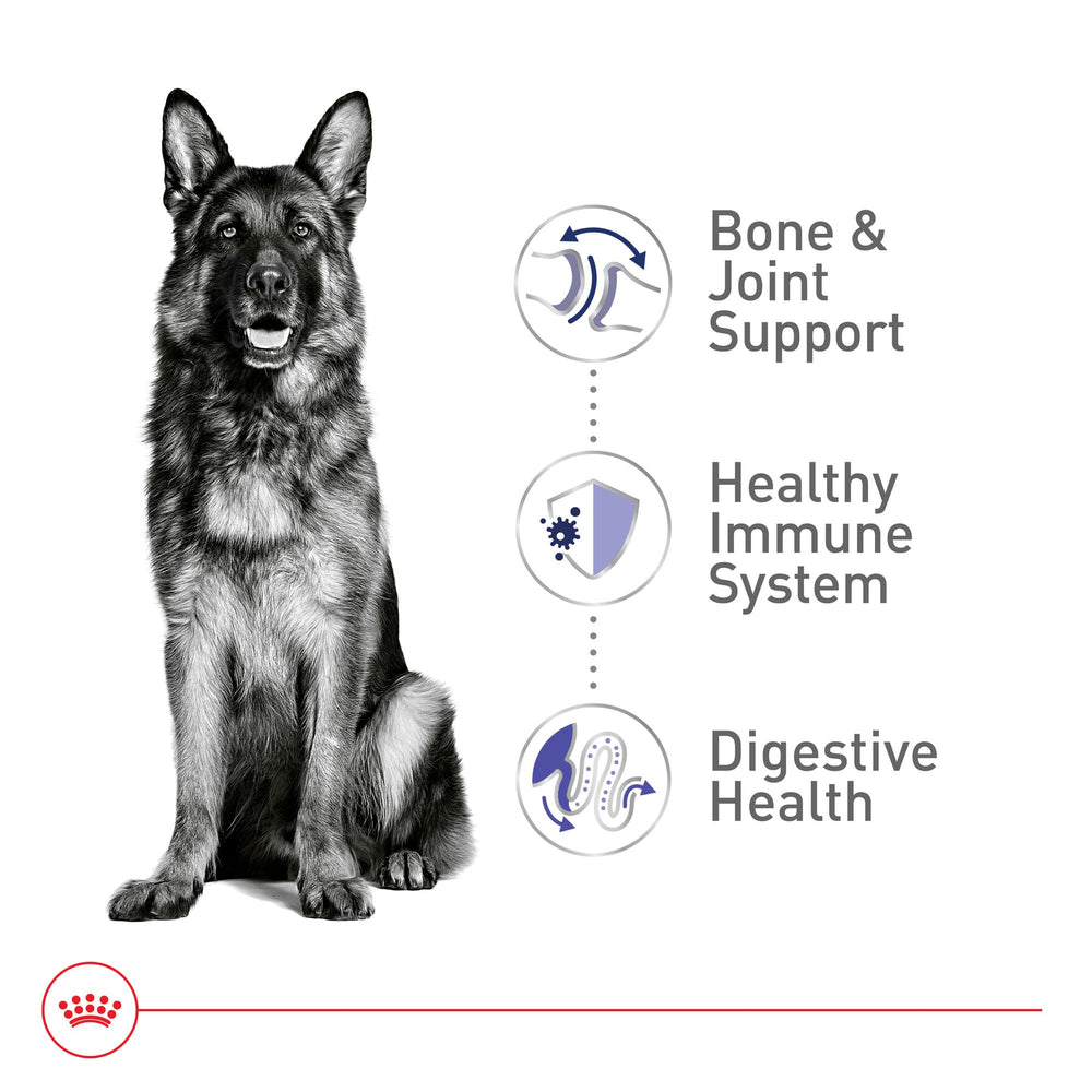 Royal Canin digestive health with prebiotics and high-quality proteins.