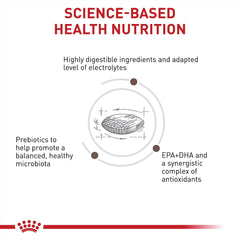 Close-up of prebiotic-rich kibble supporting gut balance with Royal Canin