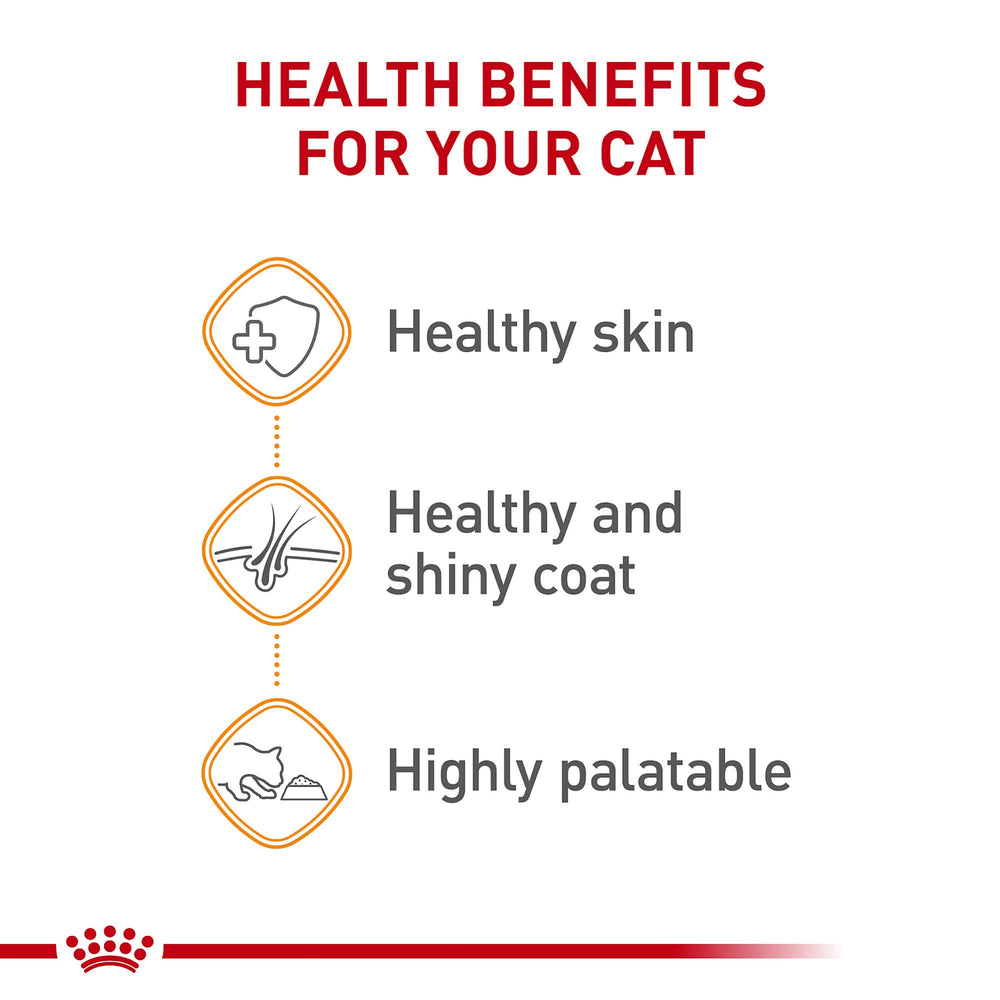 Royal Canin dry and wet meal mix option shown beside kibble