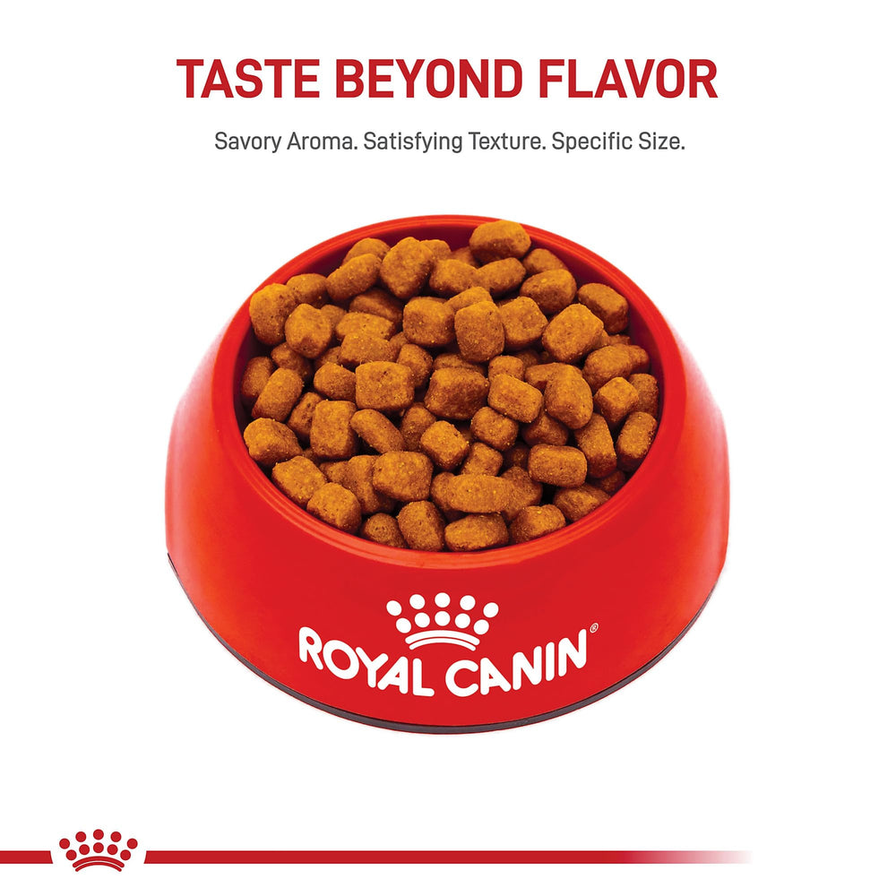 Complete and balanced daily nutrition from Royal Canin for adult cats.