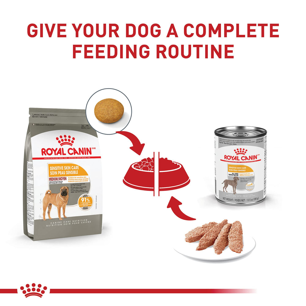 Royal Canin Dry coat support for medium dogs with sensitive skin