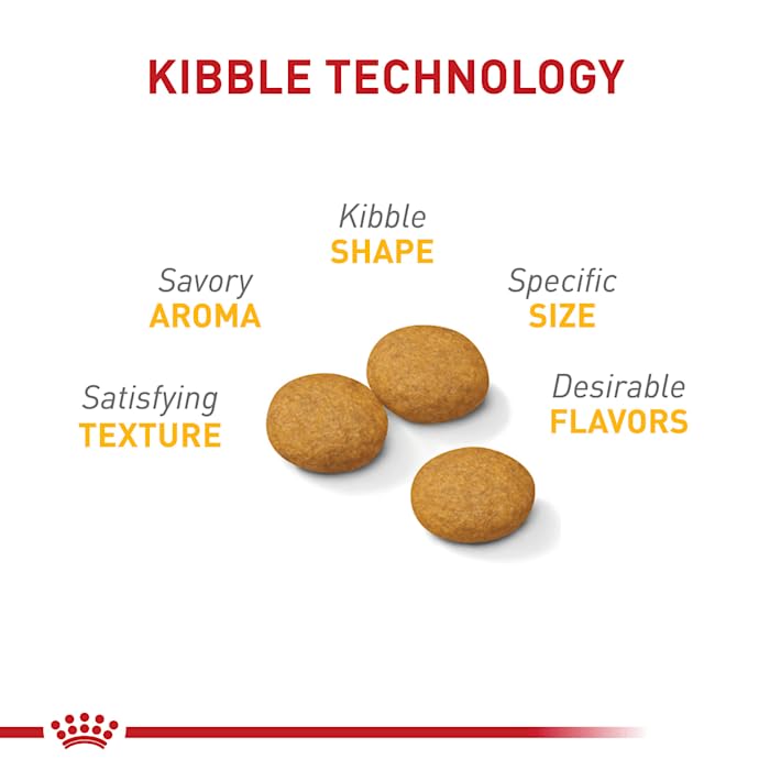 Bowl of Royal Canin Medium Sensitive Skin Care kibble ready for a meal