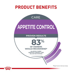 Cat eating from a dish of Royal Canin Appetite Control in gravy