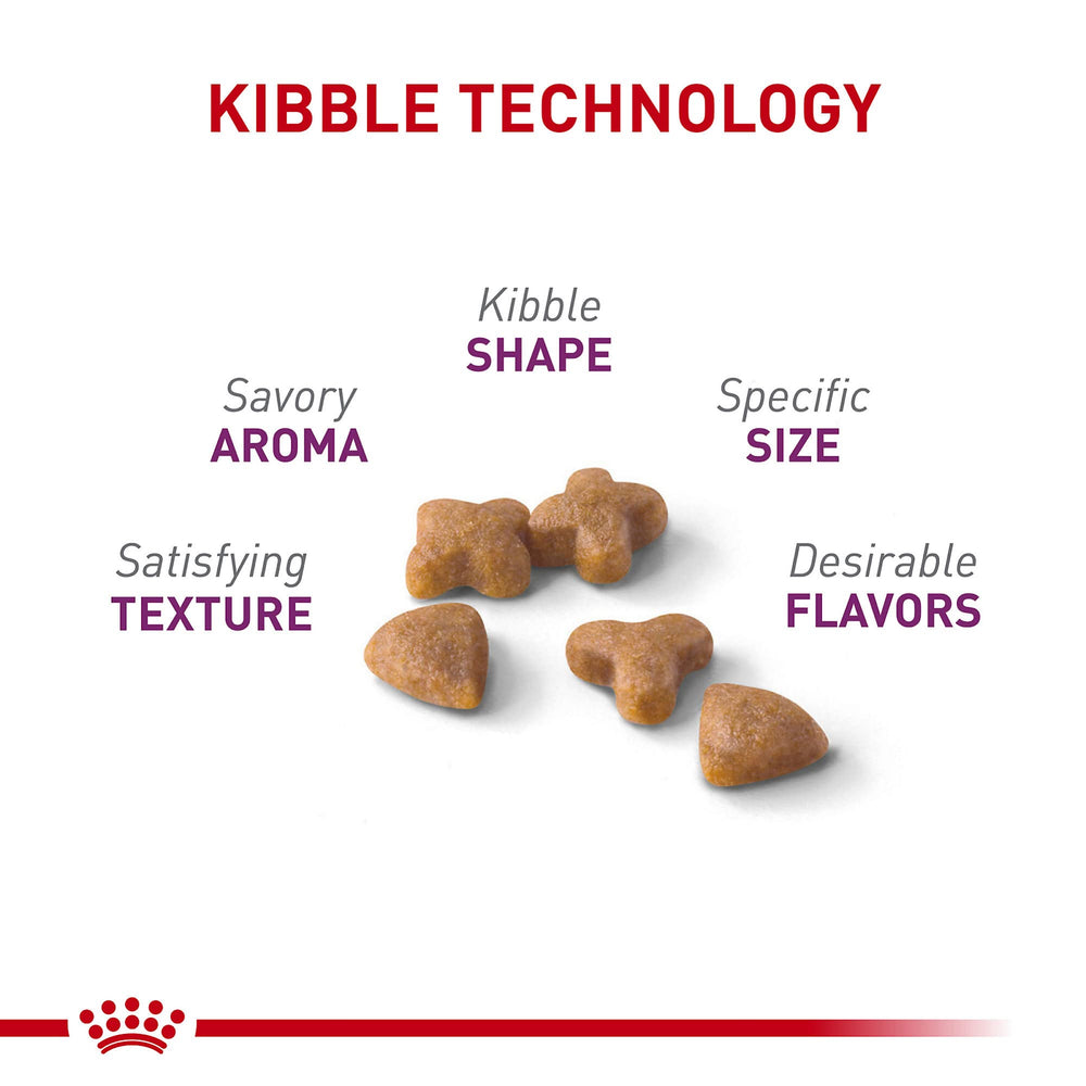 Royal Canin feline sensitive digestion close-up shows prebiotics for balance.