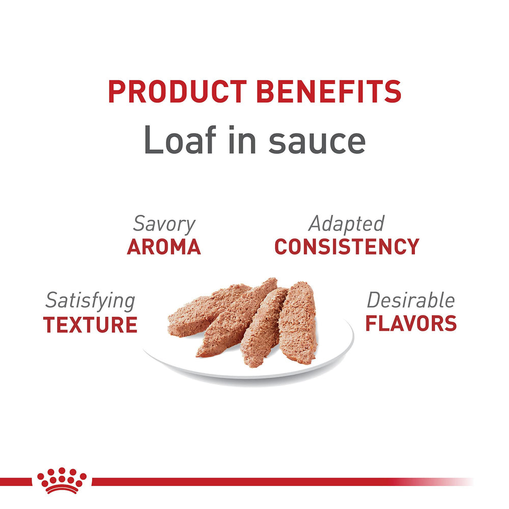 Royal Canin Feline Health Instinctive Loaf in Sauce close-up shows moist loaf texture.