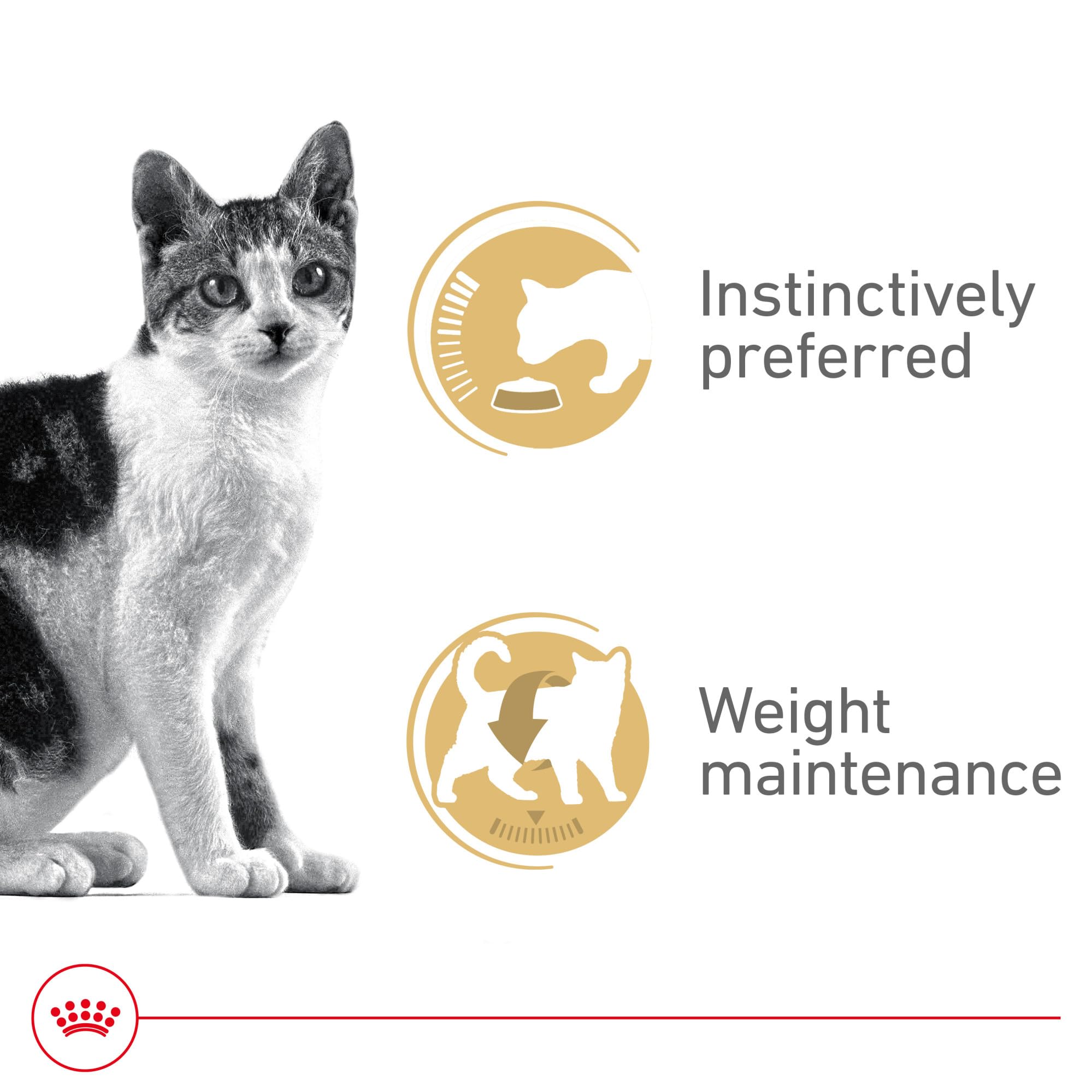 Serving bowl of Royal Canin Instinctive Thin Slices in Gravy, appealing texture for picky eaters