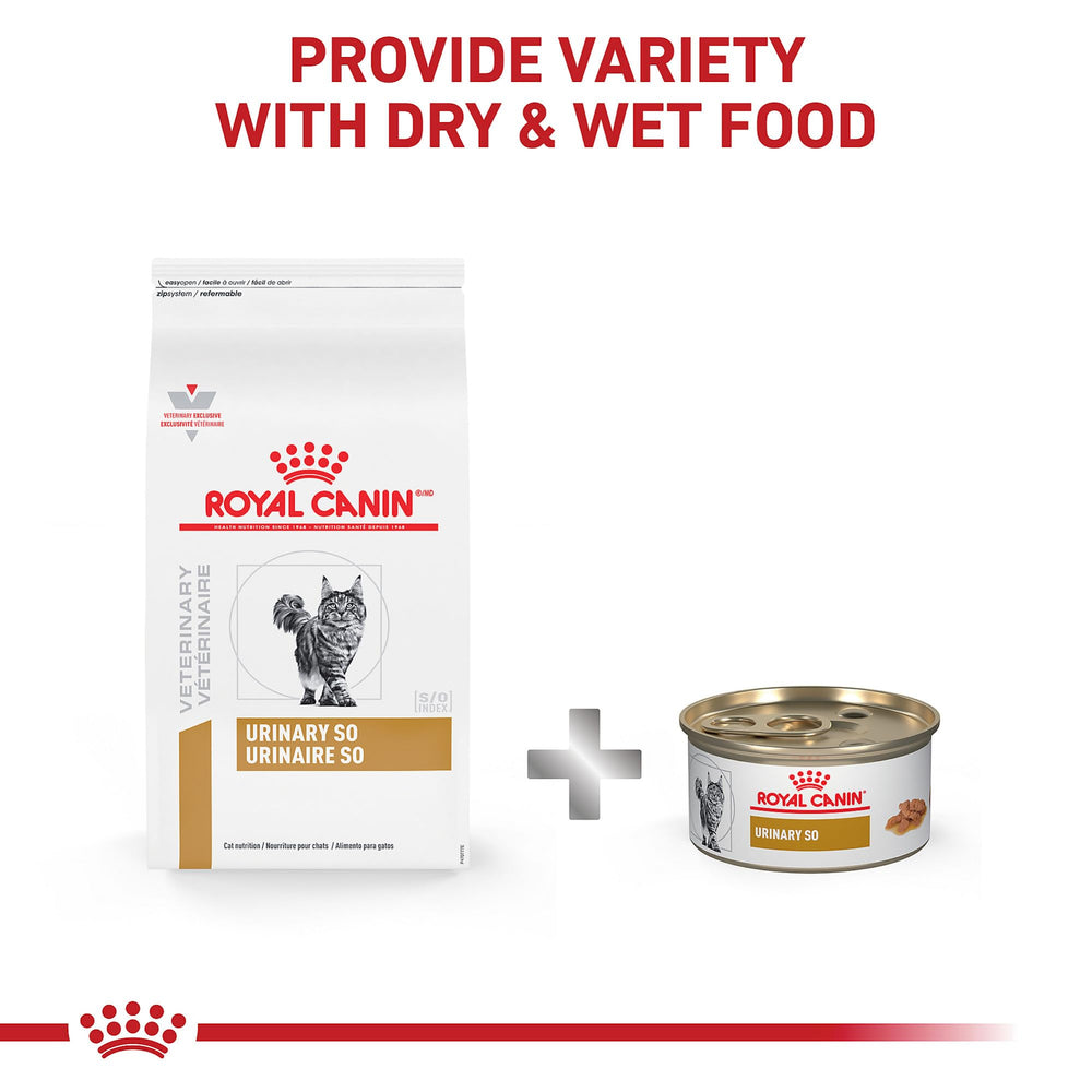 Royal Canin Feline URINARY SO Dry kibble angle closeup