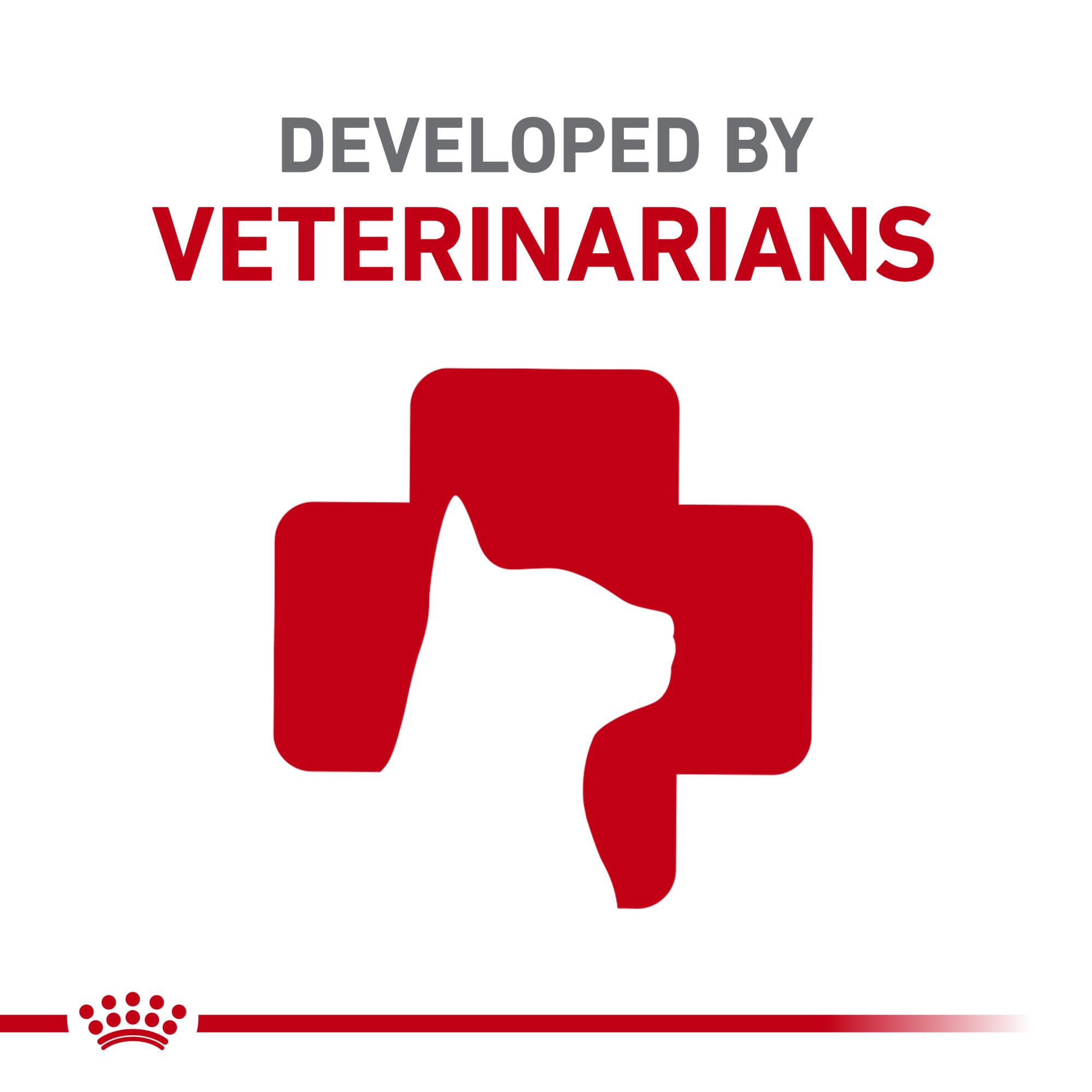 Royal Canin Feline URINARY SO Dry kibble texture closeup highlighting balanced ingredients