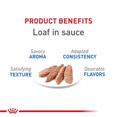 Close-up of Royal Canin Feline Weight Care loaf in sauce texture