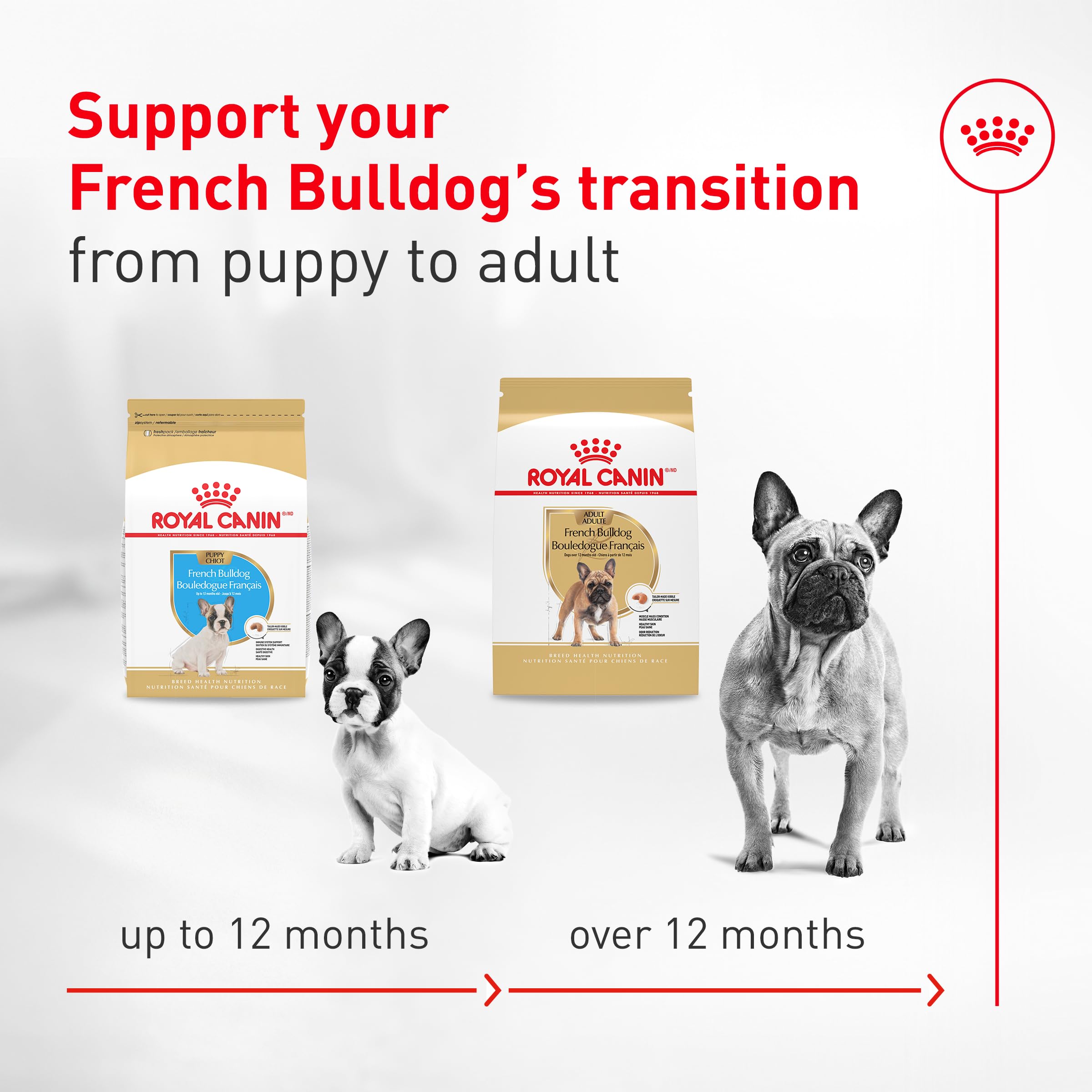Soft loaf texture makes mealtime pleasant for adult French Bulldogs