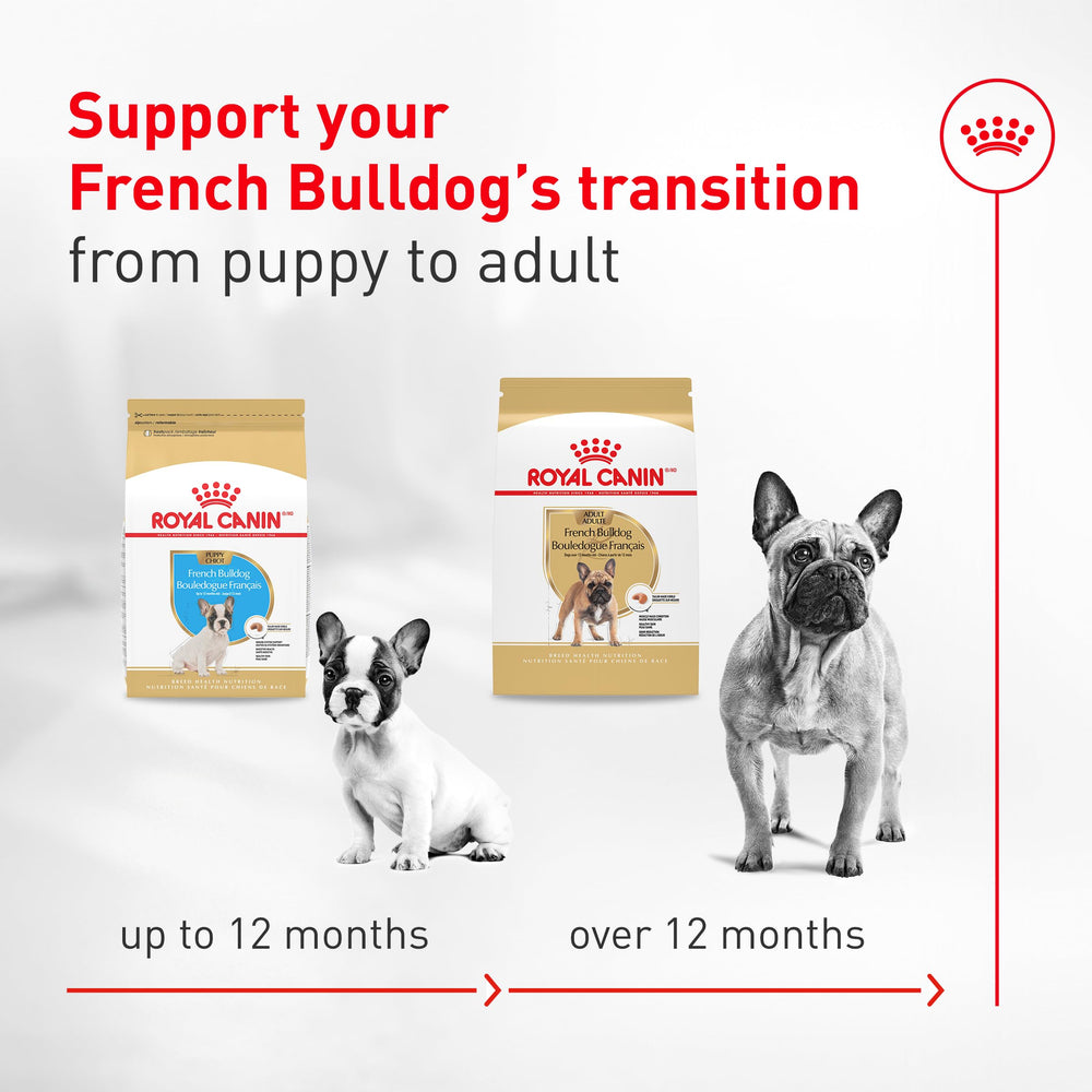 Soft loaf texture makes mealtime pleasant for adult French Bulldogs