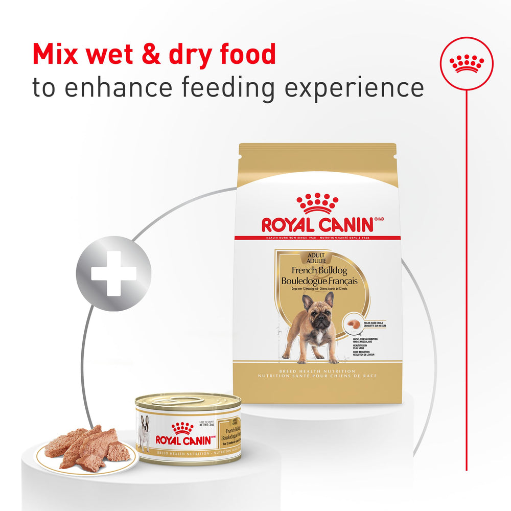 Royal Canin skin and coat nutrients help maintain a healthy look