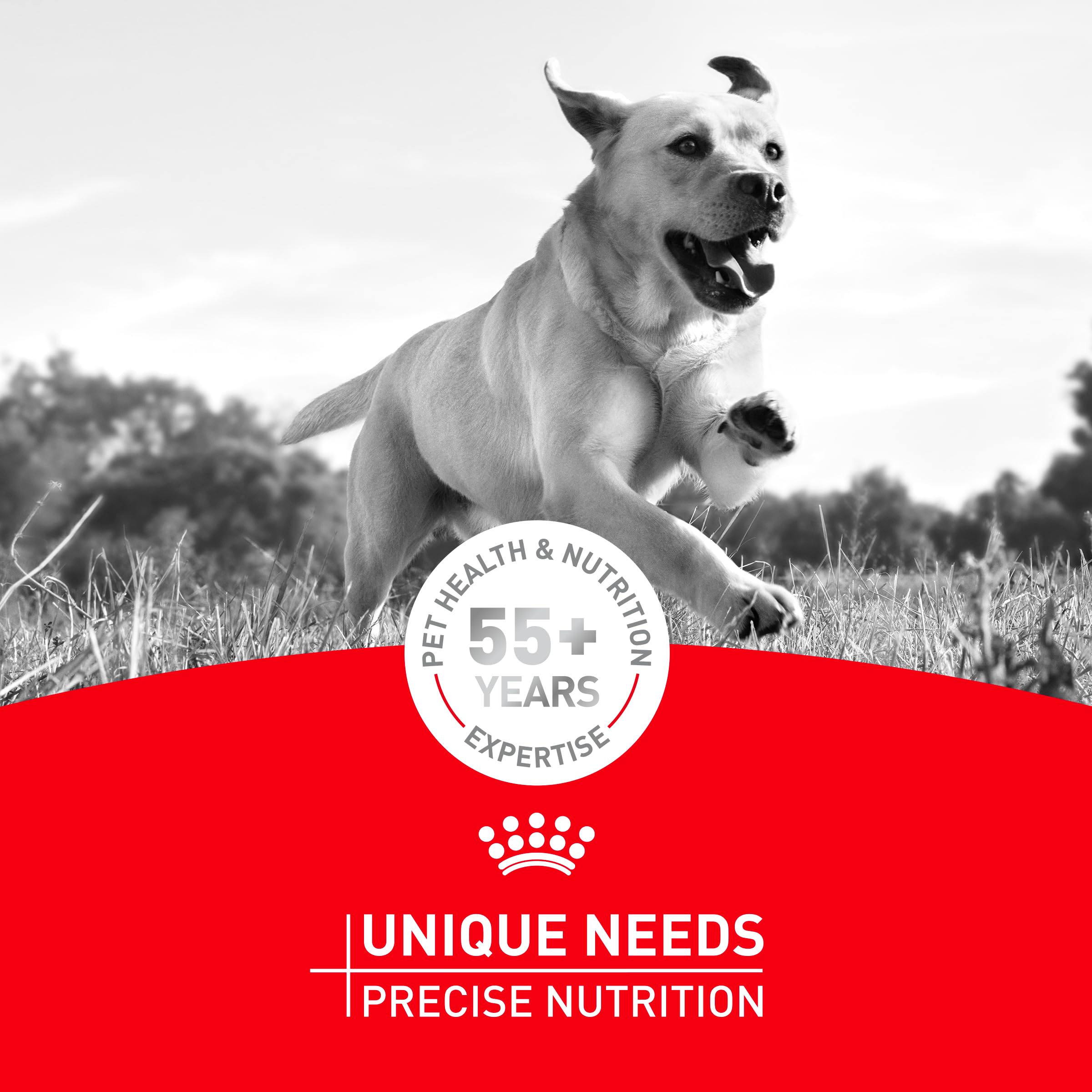 Designed by experts to match breed-specific needs for daily meals