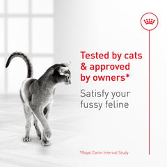 Royal Canin Fussy 7lb bag signals convenient, complete nutrition for adult cats.