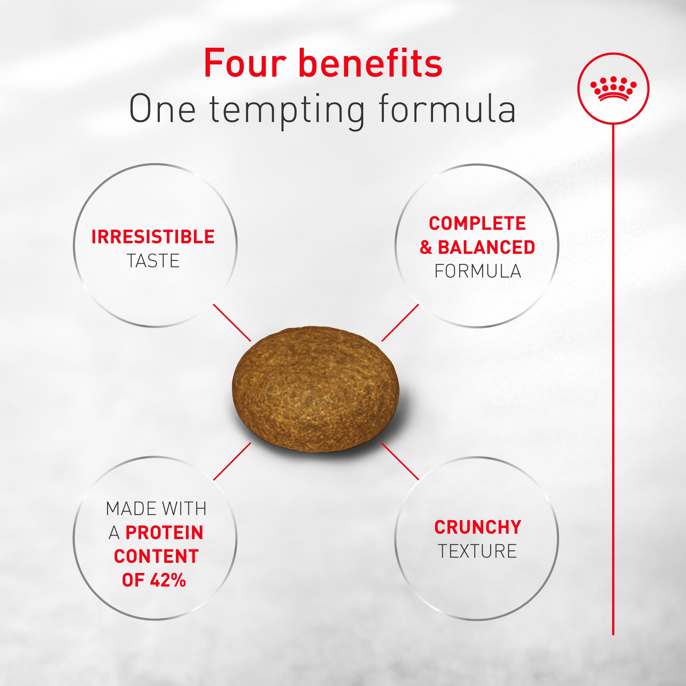 Royal Canin Fussy dry food texture close-up suggests energy-dense, protein-rich nutrition.