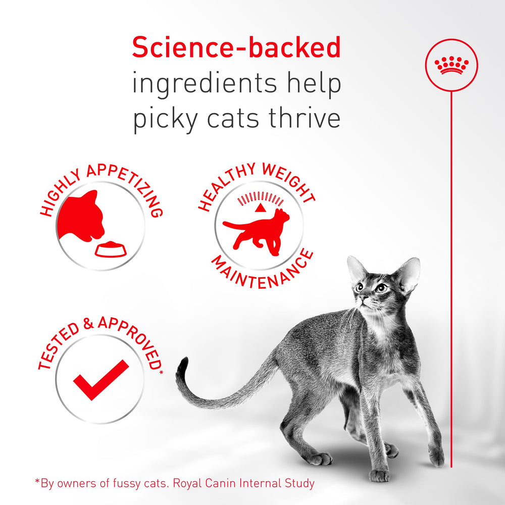 Royal Canin Fussy indoor-outdoor cat image supports versatile living and feeding routines.