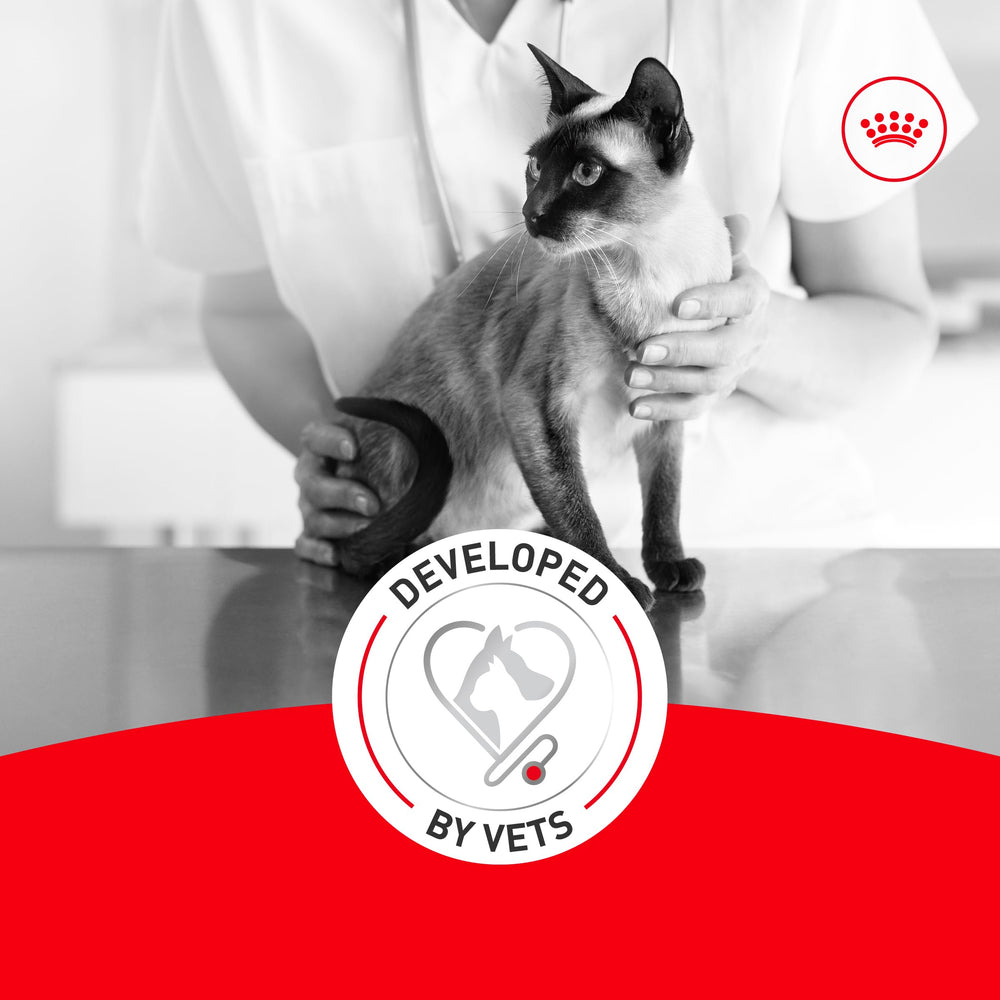 Royal Canin Fussy transition feeding guide image helps a smooth 7–10 day change.