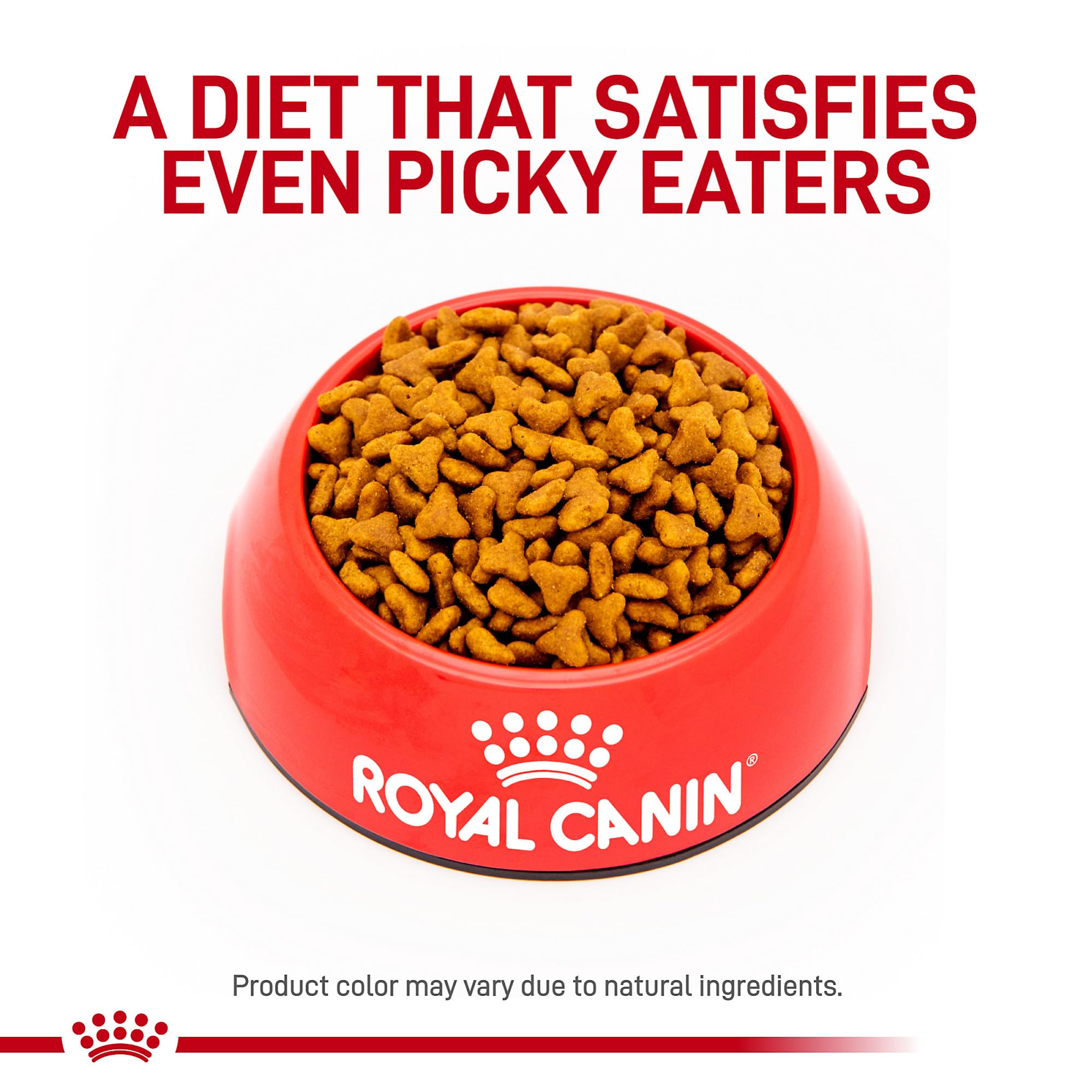 Royal Canin Gastrointestinal Fiber Response kibble close-up emphasizing psyllium content