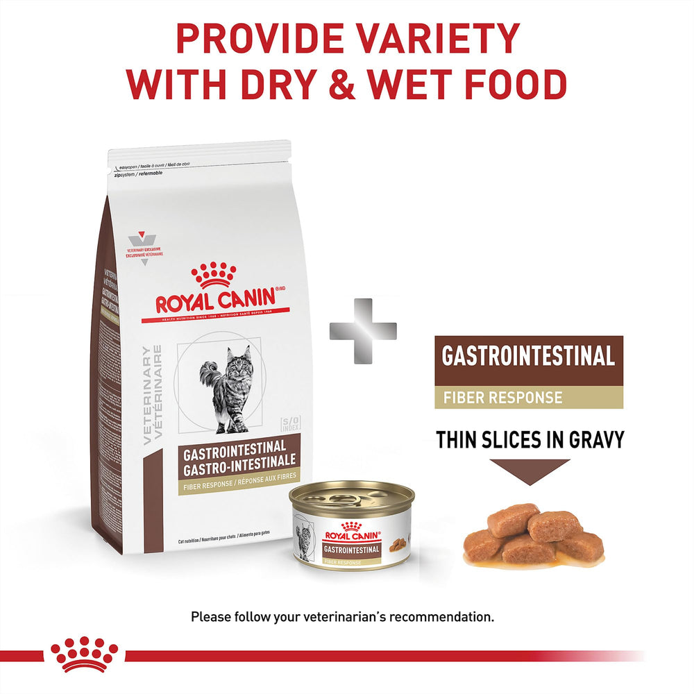 Royal Canin Gastrointestinal Fiber Response omega-3 visualization with EPA/DHA benefits