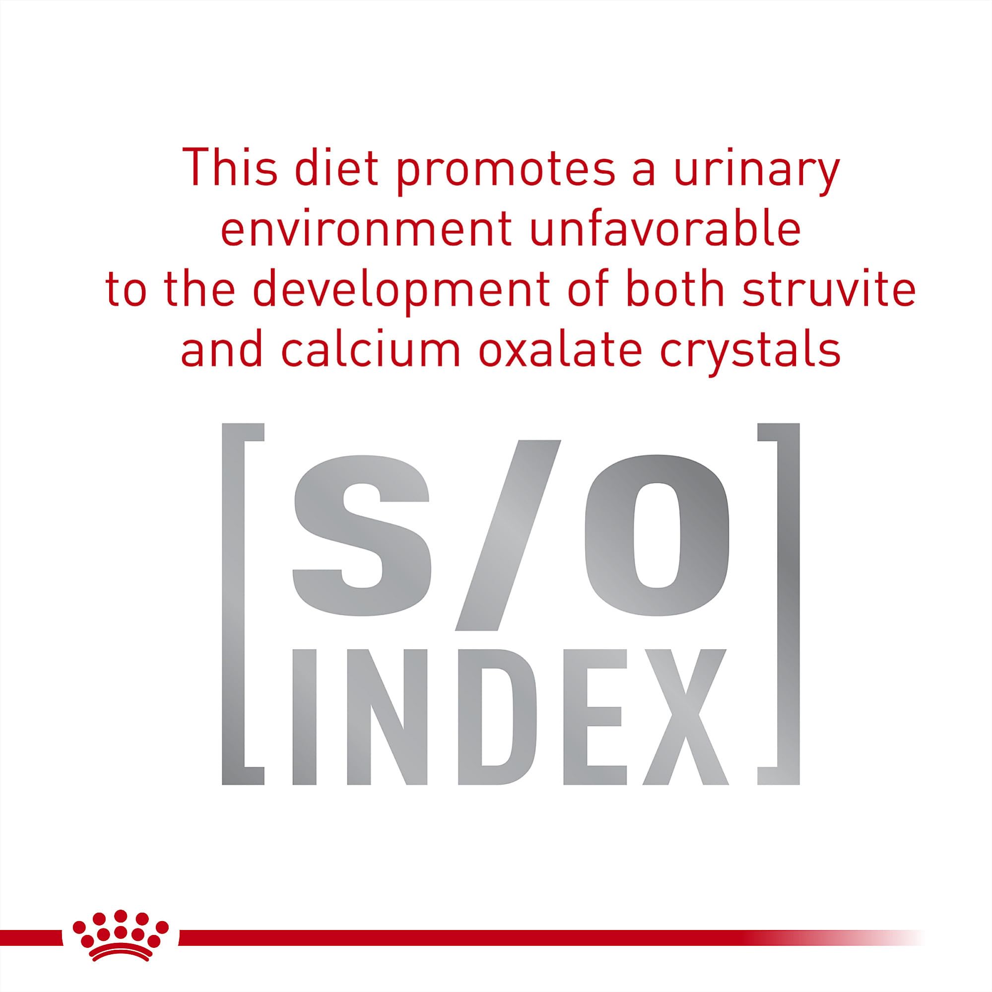 Royal Canin Gastrointestinal Fiber Response fiber blend visual for microbiome support