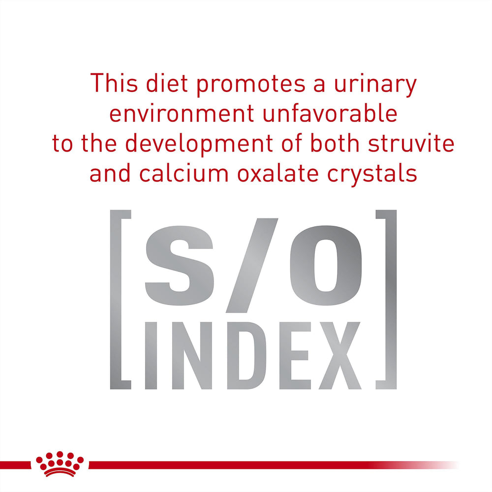 Royal Canin Gastrointestinal Fiber Response fiber blend visual for microbiome support