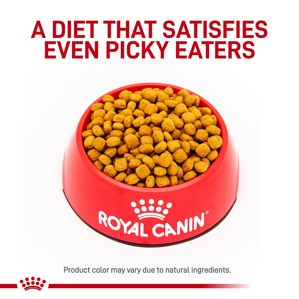 Royal Canin Gastrointestinal Low Fat kibble close-up showing texture for digestion