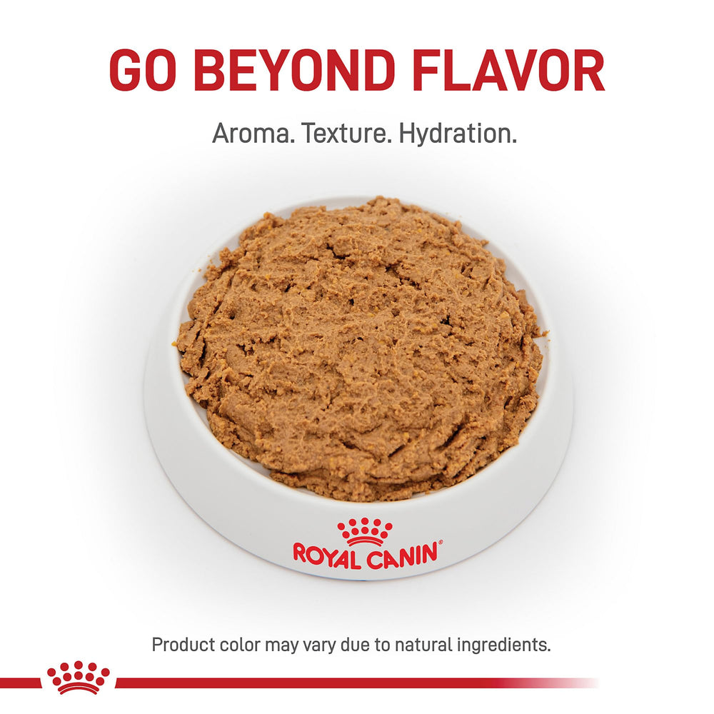 Royal Canin Gastrointestinal Low Fat Loaf can opened to reveal pate texture