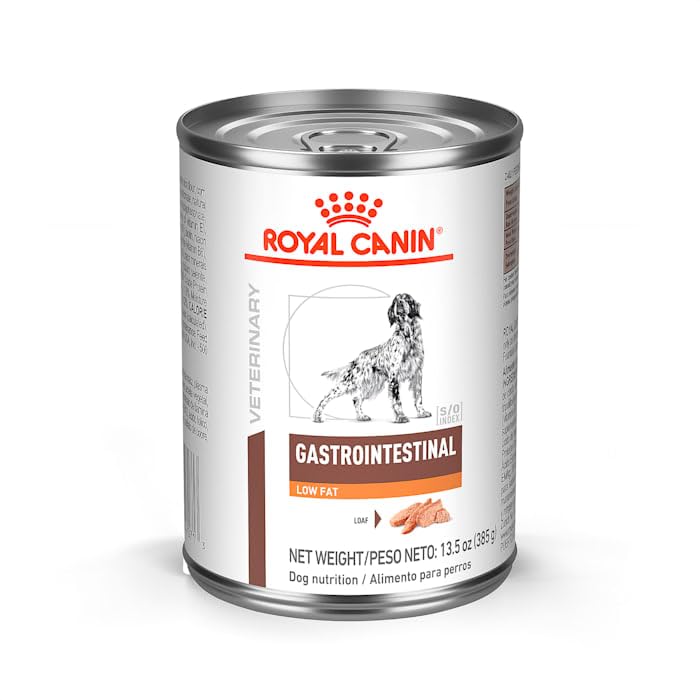 Dog enjoying meal of Royal Canin Gastrointestinal Low Fat Loaf