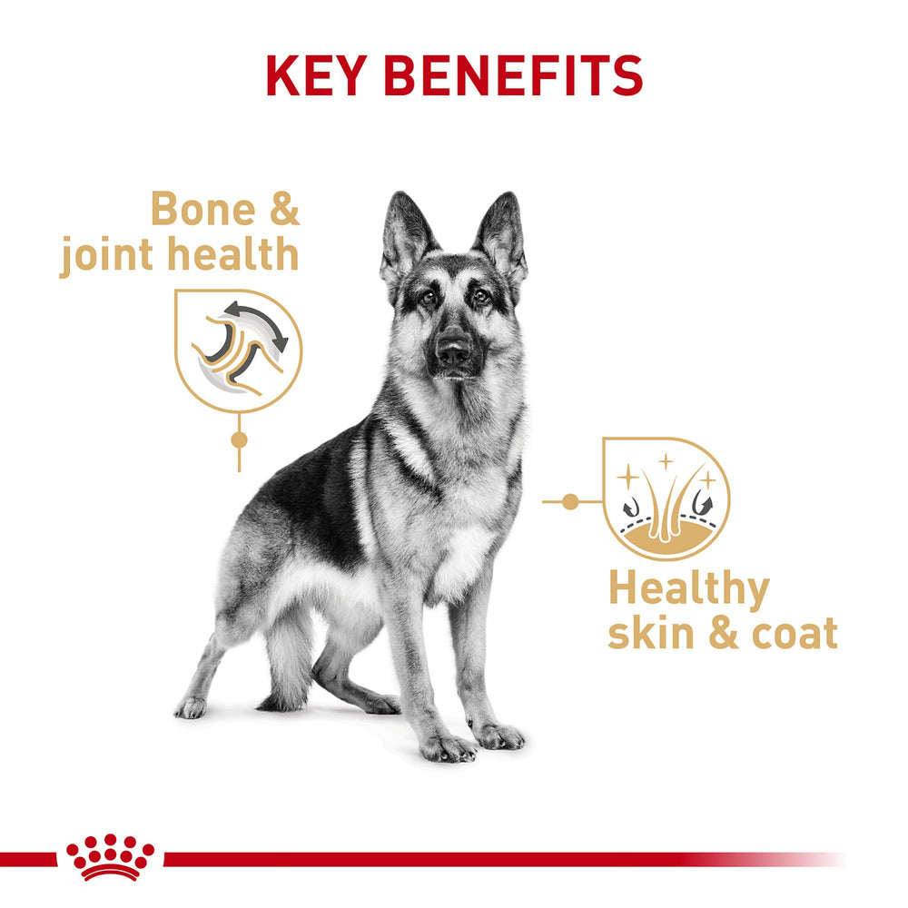 Royal Canin German Shepherd Adult Loaf in Sauce can, showing breed-focused nutrition packaging.