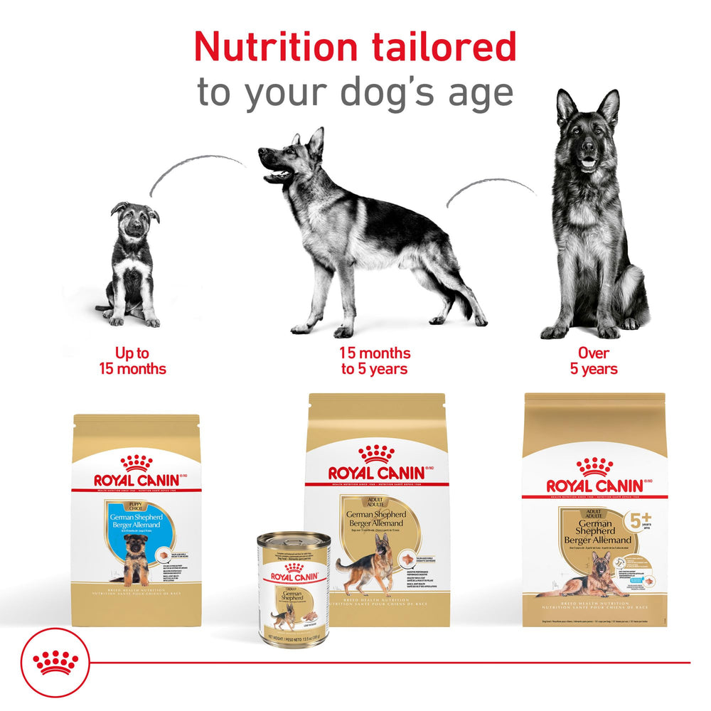 Royal Canin German Shepherd Adult Loaf in Sauce serving bowl, easy-to-serve meal presentation.