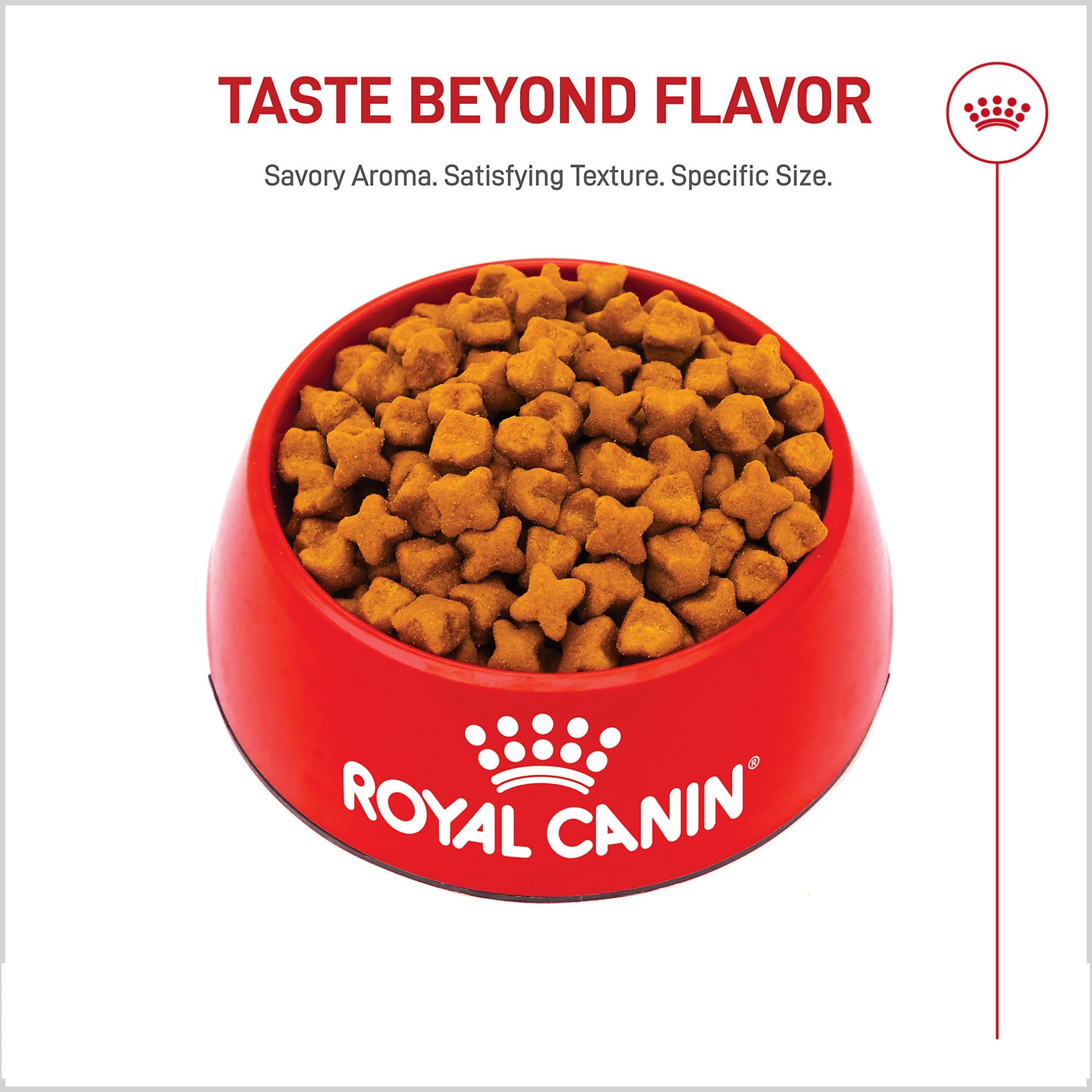 Kibble texture suggests mindful chewing for big dogs.