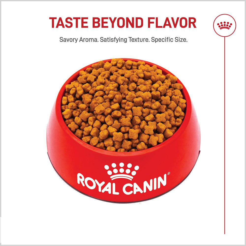 Royal Canin antioxidants including vitamin E support immune development