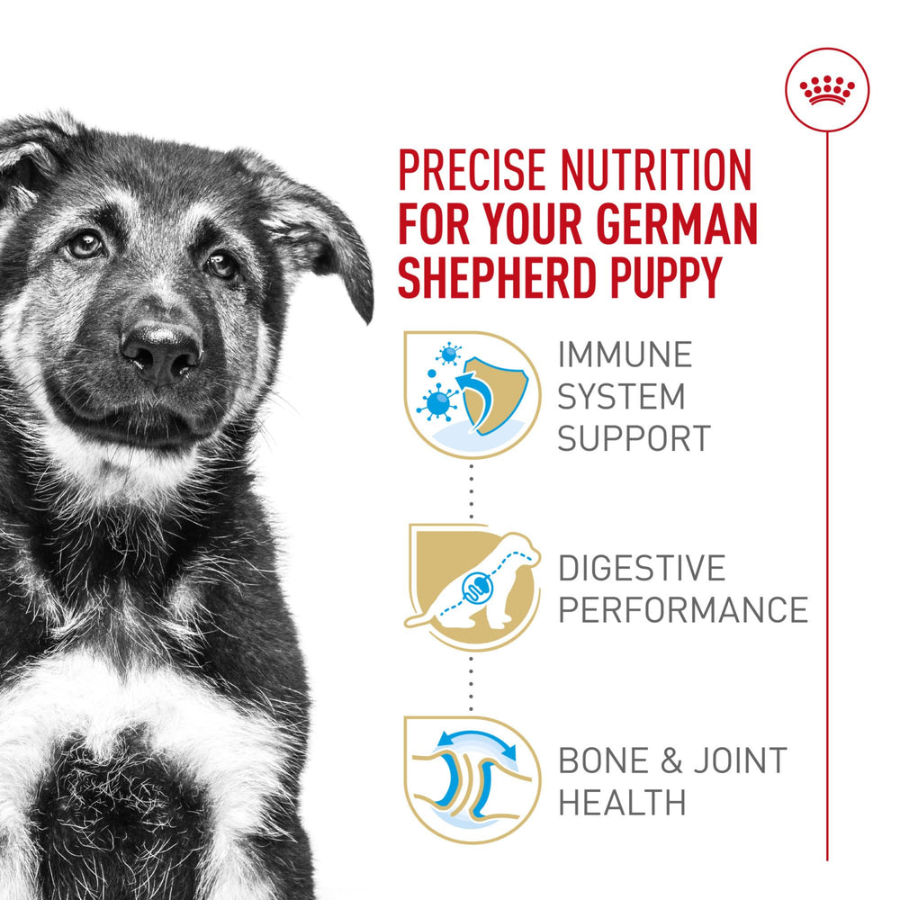 Royal Canin German Shepherd Puppy immune-support kibble highlights antioxidants