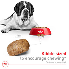 Royal Canin giant-breed diet texture close-up emphasizing large, easy-to-chew pieces.