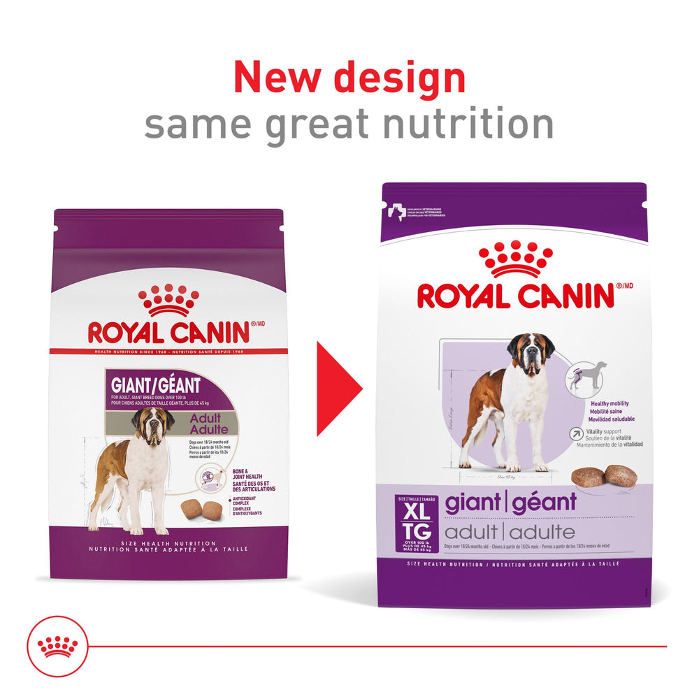 Royal Canin giant-breed dry kibble close-up showing crunchy texture and palatability.