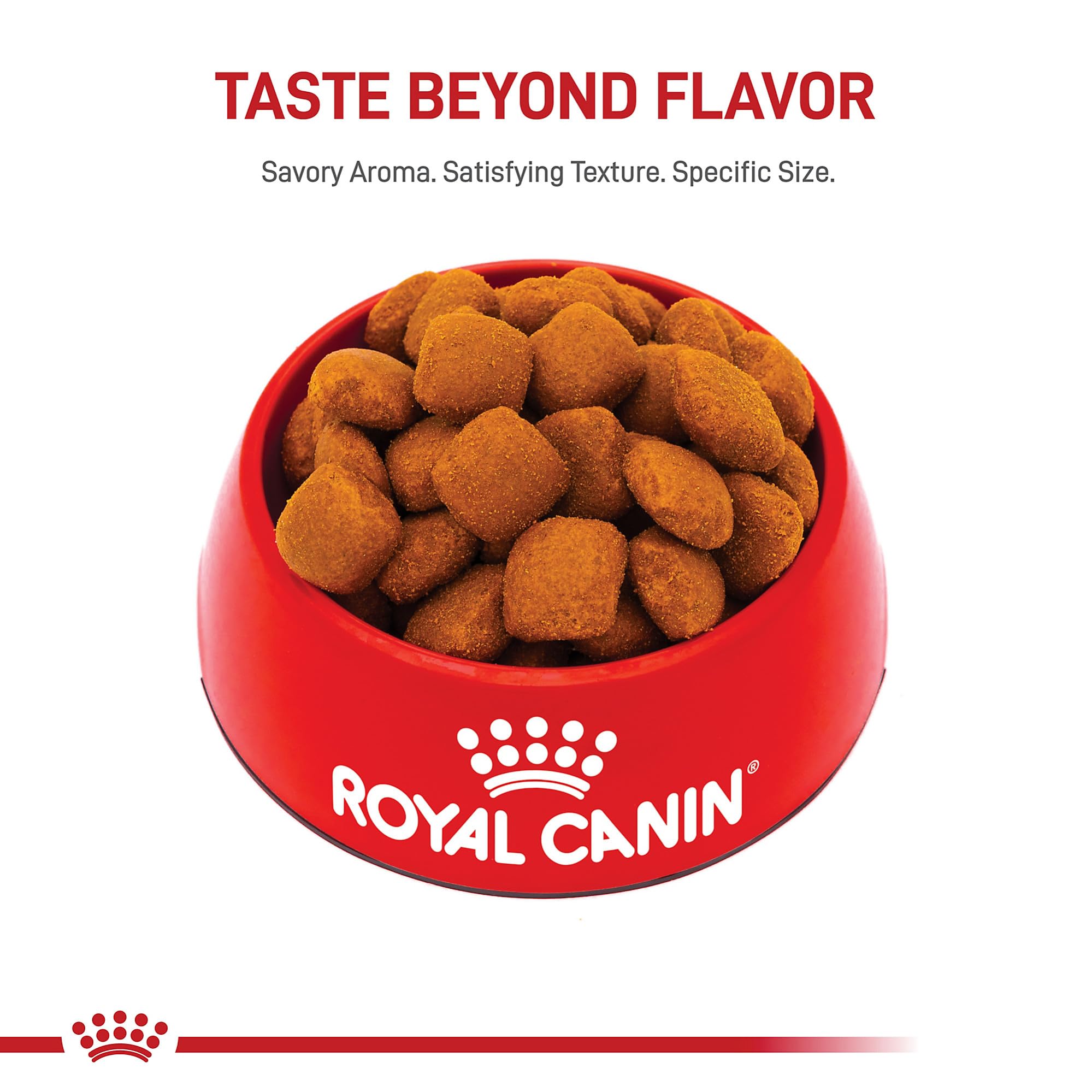 Royal Canin giant-breed packaging on kitchen counter.
