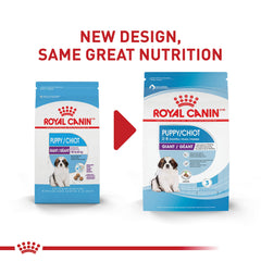 Royal Canin Giant Breed Puppy kibble closeup showing crunchy texture.