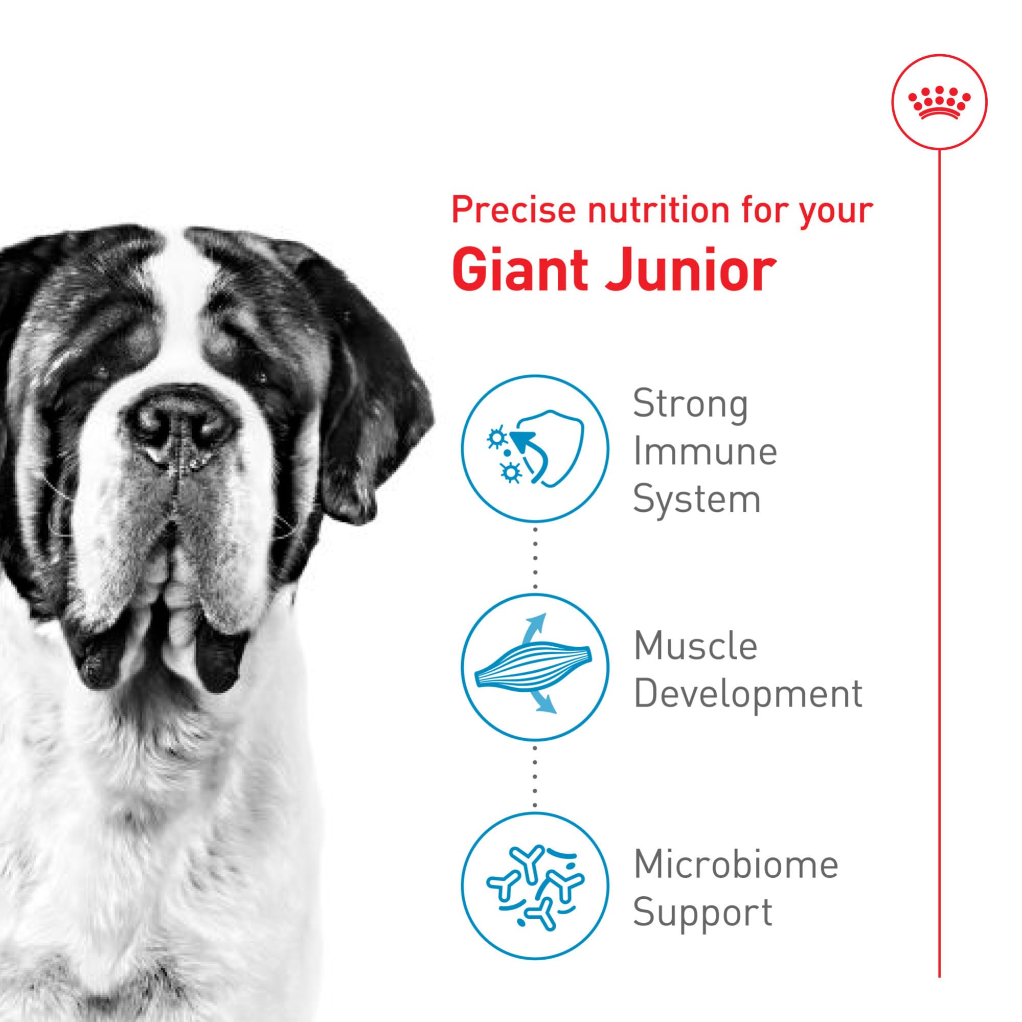 Digestive-friendly prebiotics and proteins in Giant Junior formula.