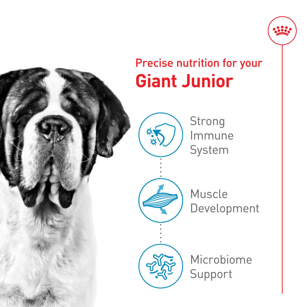 Digestive-friendly prebiotics and proteins in Giant Junior formula.