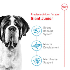 Digestive-friendly prebiotics and proteins in Giant Junior formula.