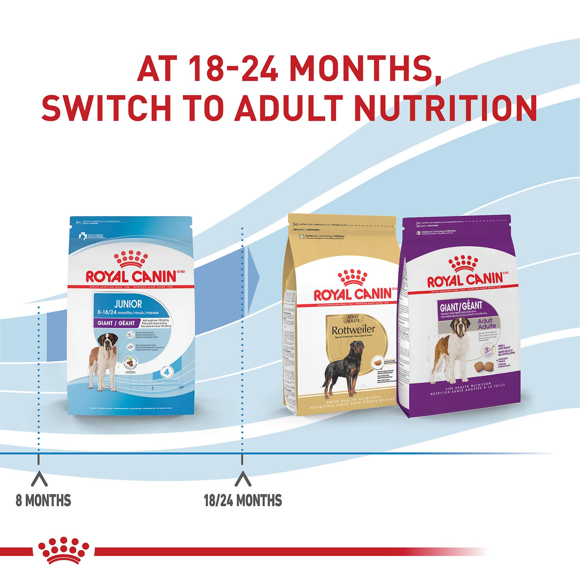 Antioxidants in Giant Junior support immune system development.