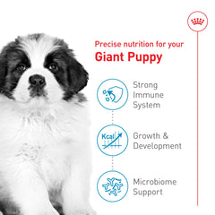 Royal Canin Giant Puppy feeding bowl ready for portions.