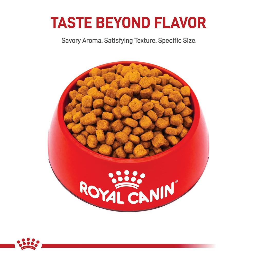 Royal Canin Giant Puppy prebiotics digestible proteins support gut health.