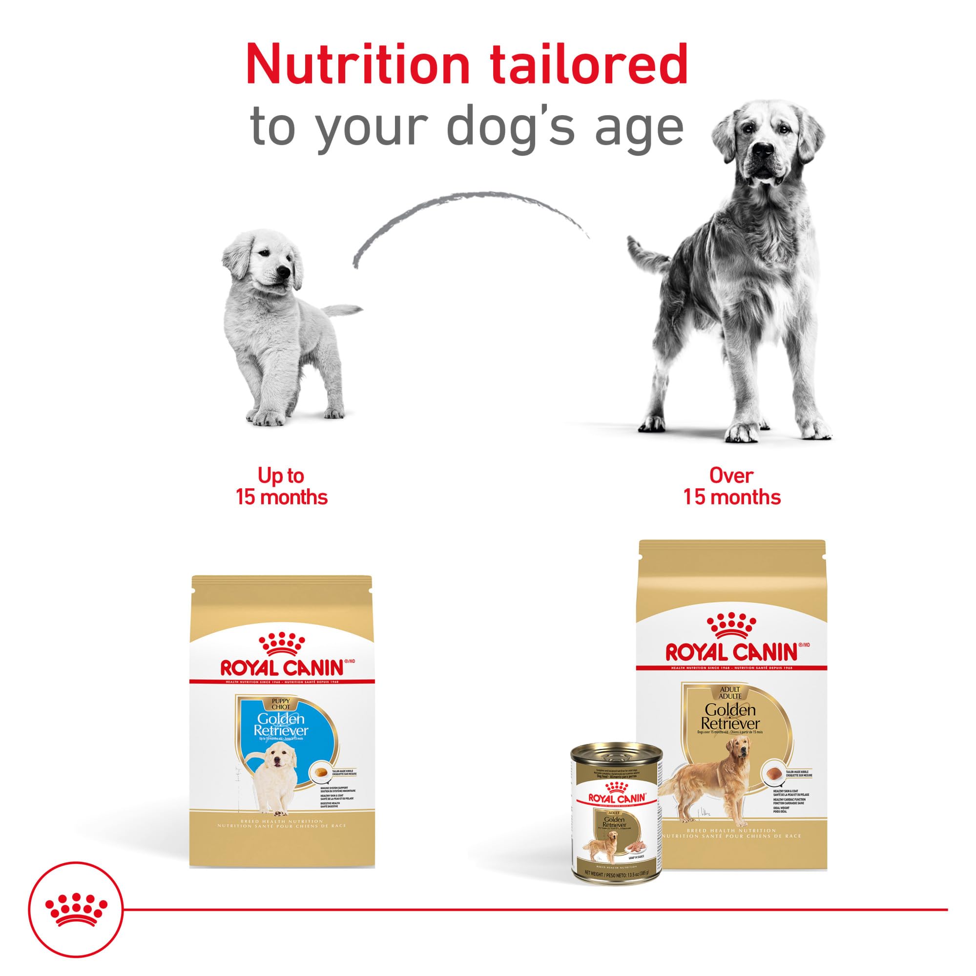 Breed-specific nutrition crafted for purebred Golden Retrievers by Royal Canin.