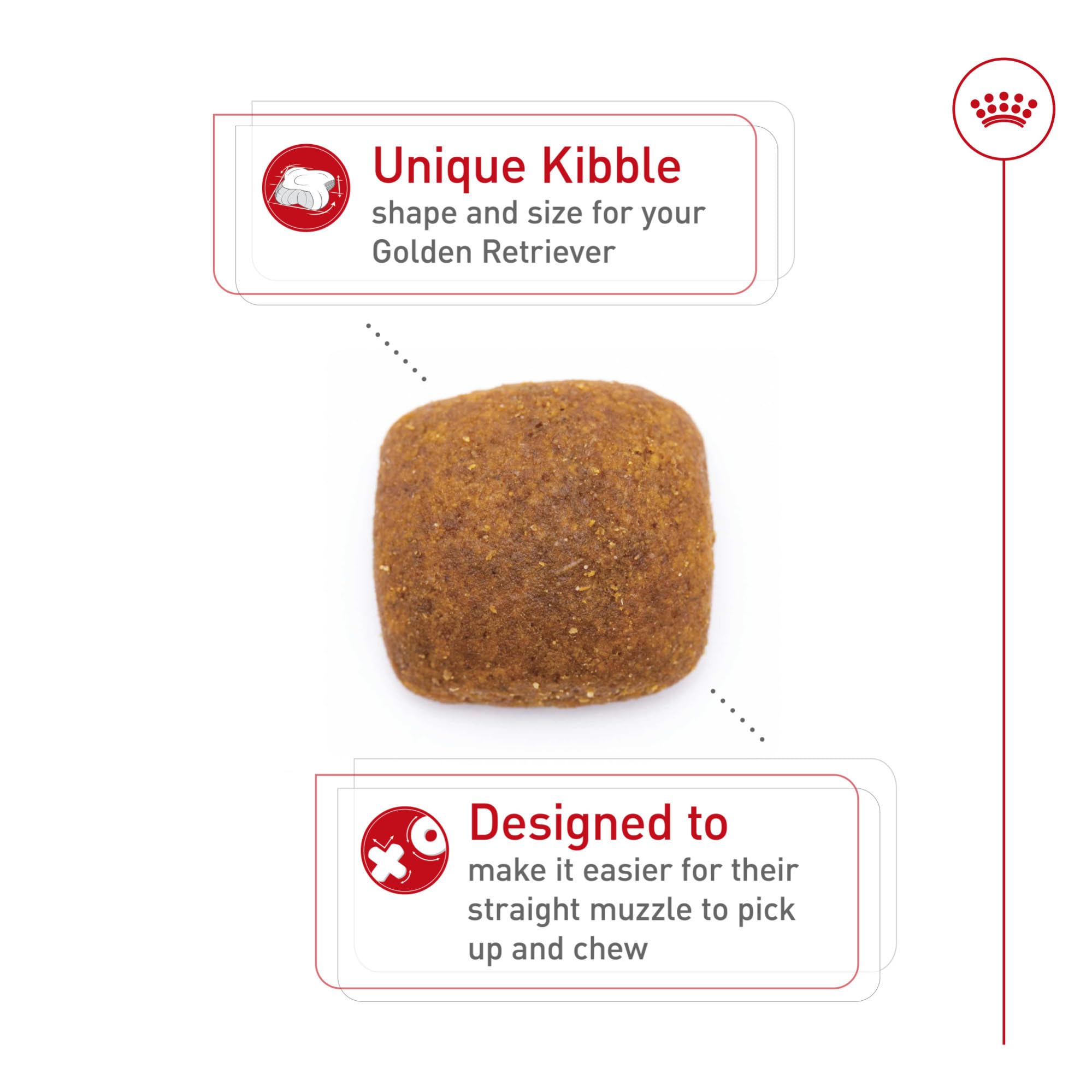 Royal Canin Golden Retriever kibble detail designed for chewers and straight muzzles