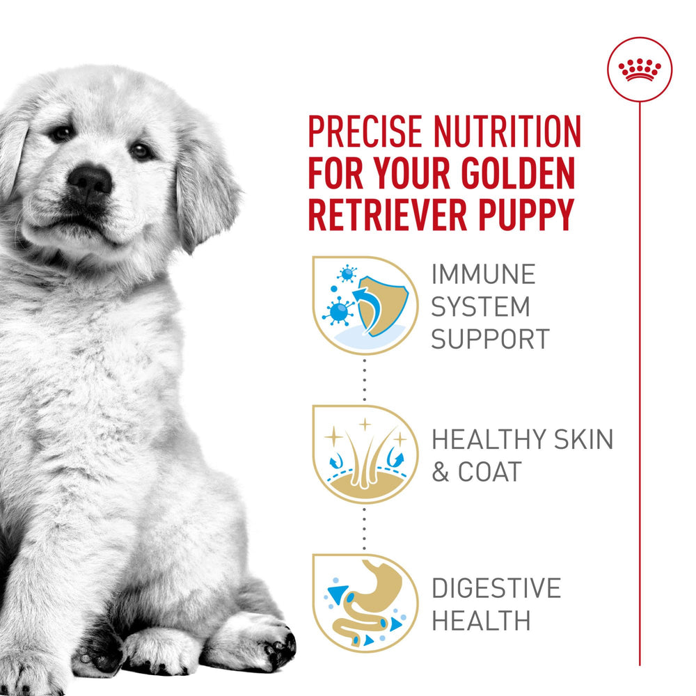 Royal Canin Golden Retriever Puppy kibble close-up notes high-quality proteins and prebiotics for digestion.