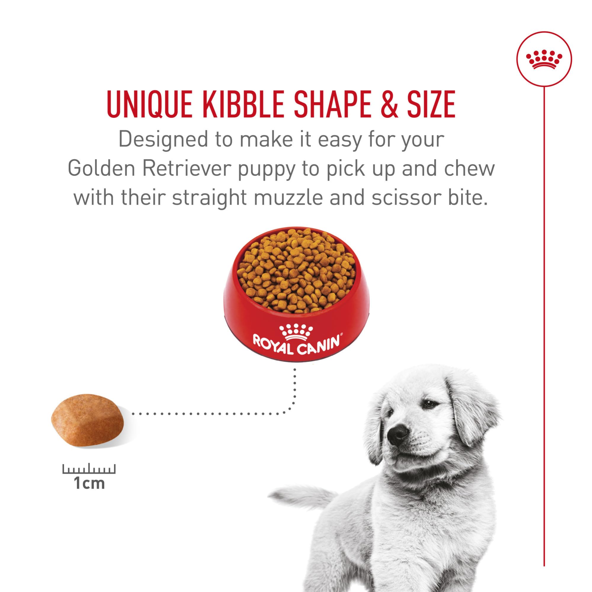 Royal Canin Golden Retriever Puppy digestive health focus supports comfortable digestion.
