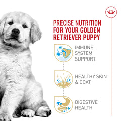 Royal Canin Golden Retriever Puppy kibble close-up notes high-quality proteins and prebiotics for digestion.