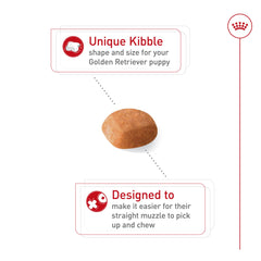 Royal Canin Golden Retriever Puppy package emphasizes immune support with antioxidants and vitamin E.