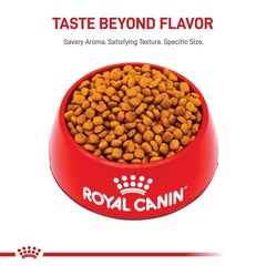 Royal Canin Golden Retriever Puppy kibble closeup shows texture for easy chewing.